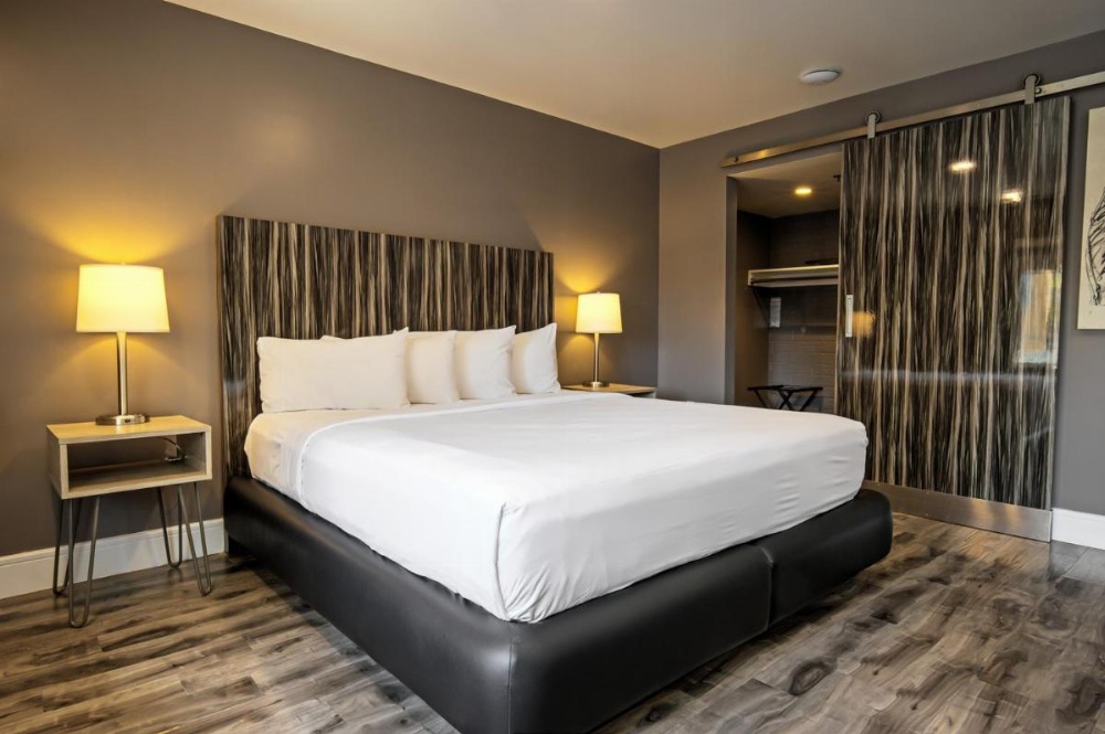 Oasis at Gold Spike - Adults Only